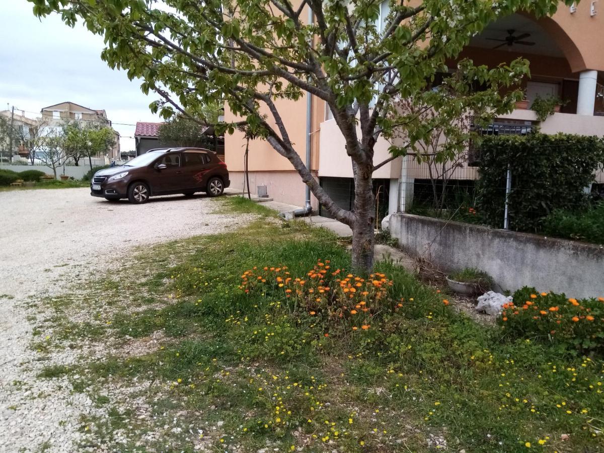 Apartments Vanja Skara Biograd Biograd Na Moru Luaran gambar