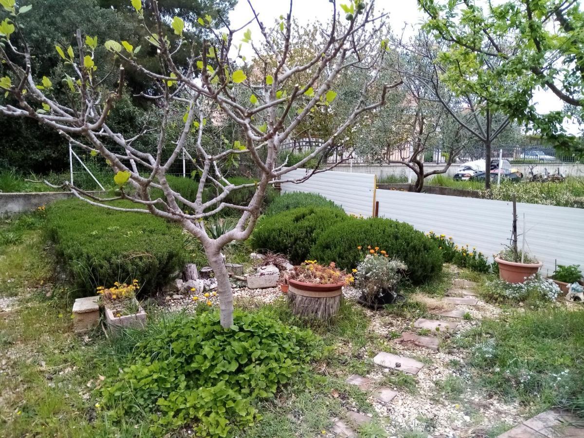Apartments Vanja Skara Biograd Biograd Na Moru Luaran gambar