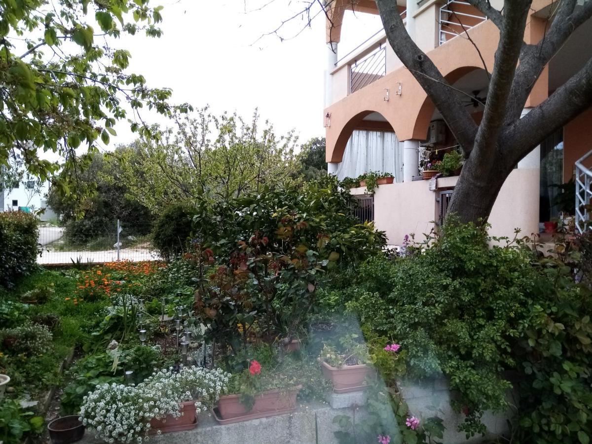 Apartments Vanja Skara Biograd Biograd Na Moru Luaran gambar