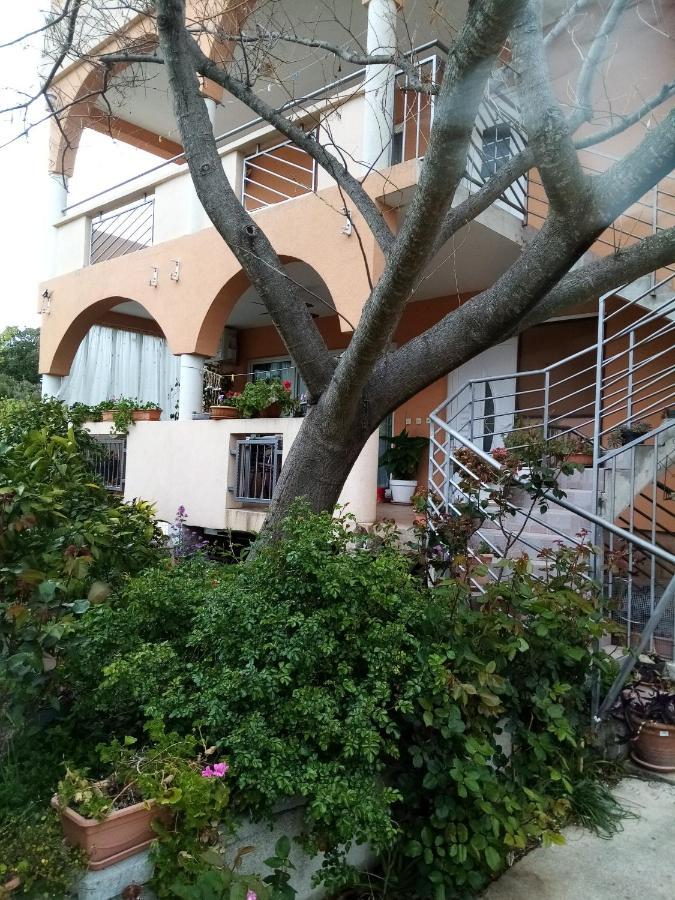 Apartments Vanja Skara Biograd Biograd Na Moru Luaran gambar